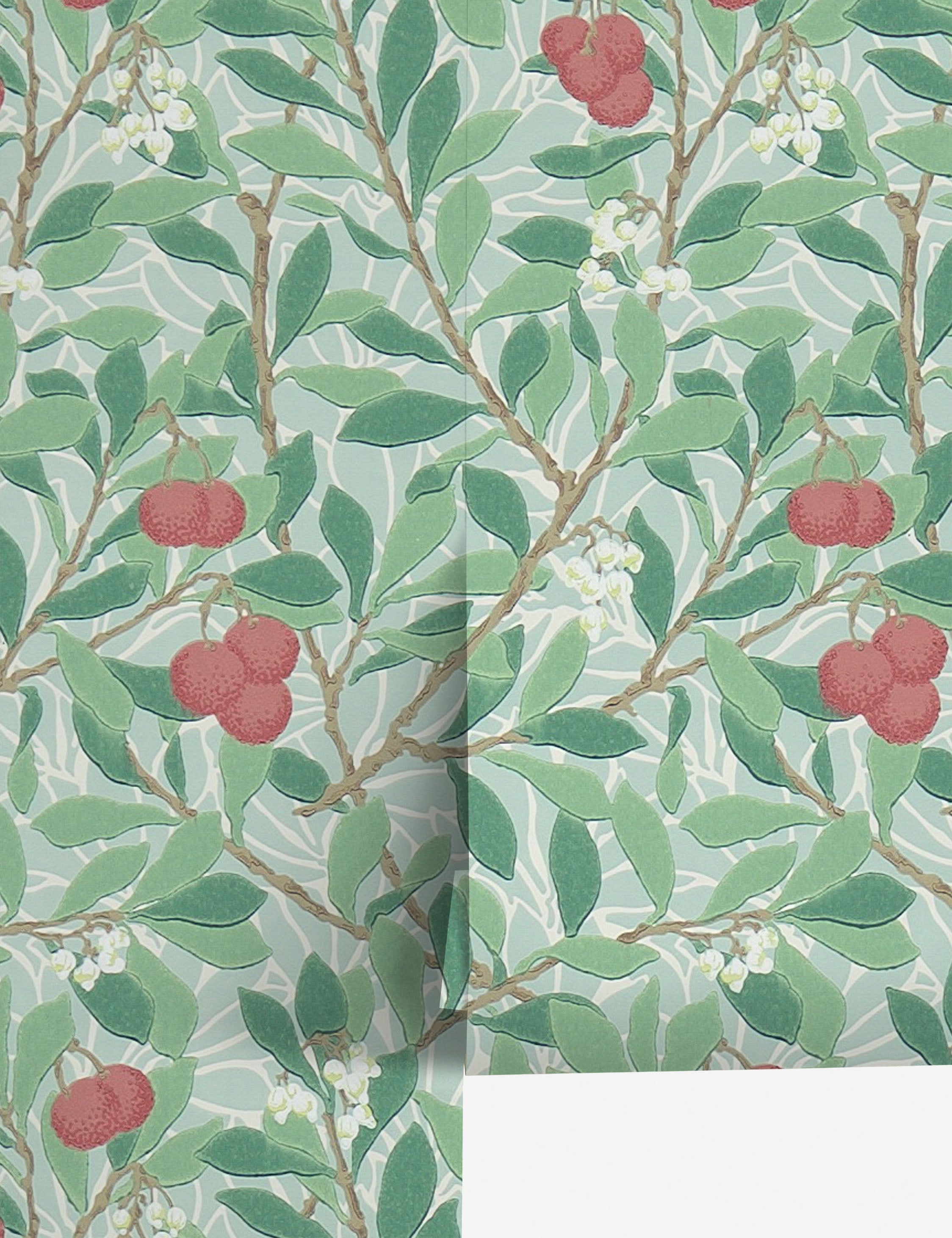 #color::thyme-and-coral